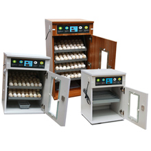 Máy ấp trứng