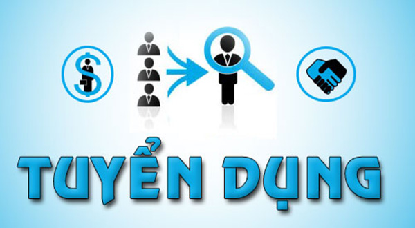 Tuyển dụng Trưởng Phòng Kinh Doanh Thương Mại Điện Tử