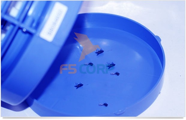 Đèn diệt muỗi gia đình Well DS-D6