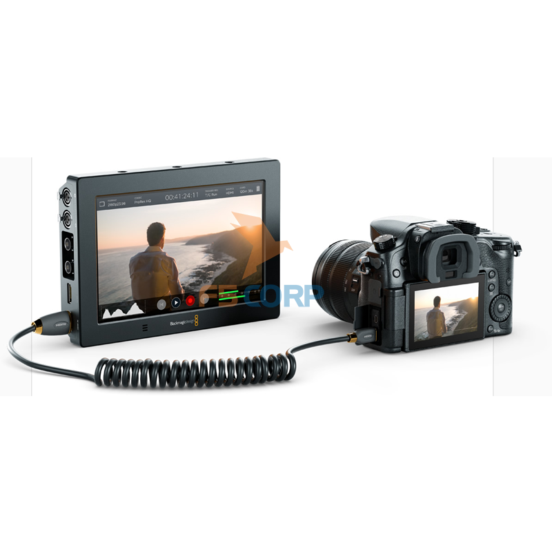Thiết bị ghi hình Blackmagic Blackmagic Video Assist