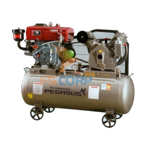 Máy nén khí chạy bằng dầu Diesel Pegasus TM-V-1.05/12.5-500L