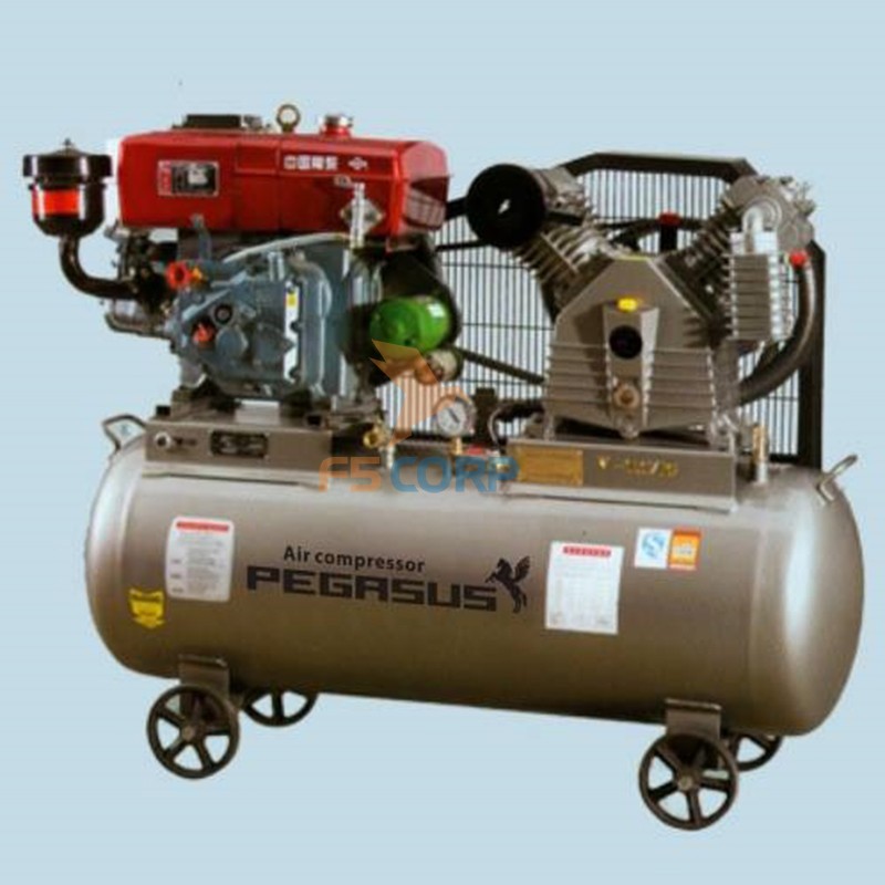 Máy nén khí chạy bằng dầu Diesel Pegasus TM-W-1.0/8-500L