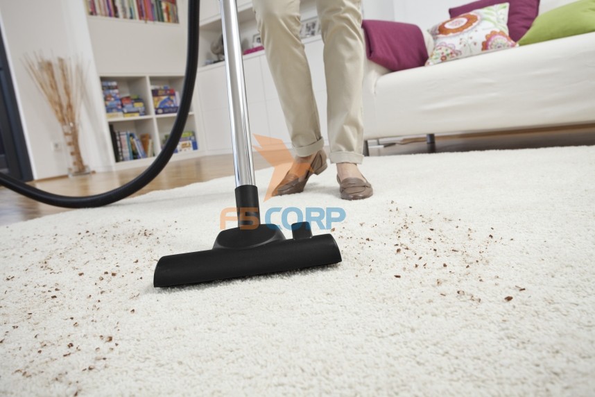 Máy hút bụi Karcher DS 5.800