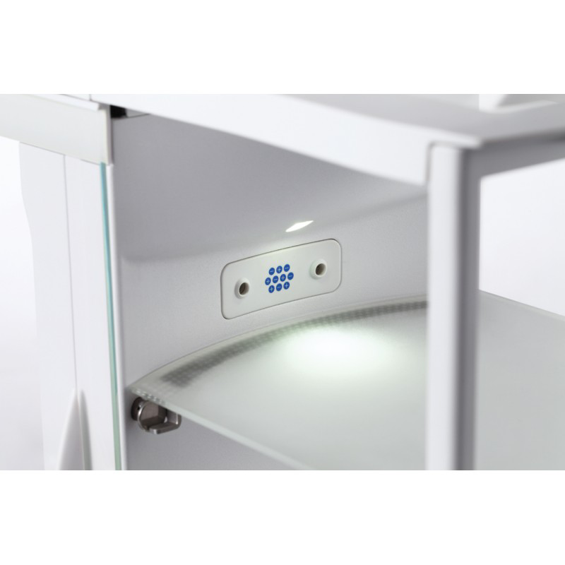 Cân phân tích điện tử 5 số lẻ (0.00001g) OHAUS  model EX225D/AD