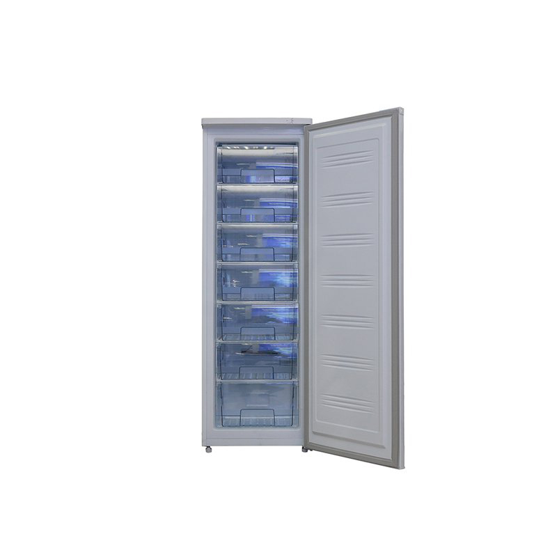 Tủ đông đứng Sanaky 230HY