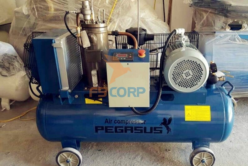 Máy nén khí trục vít Pegasus TMTV-15A