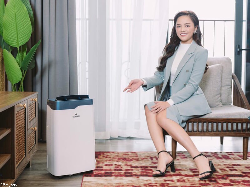 Máy hút ẩm dân dụng KM-20N