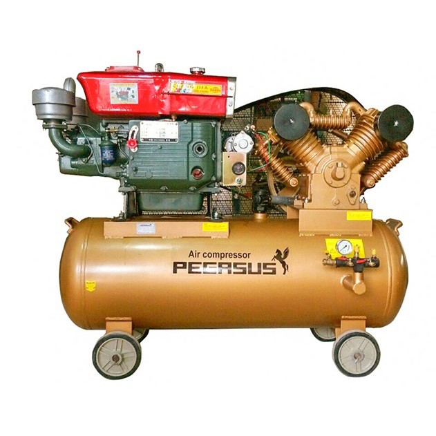 MÁY NÉN KHÍ CHẠY DIESEL PEGASUS TM-W-1.6/8-330L-15HP