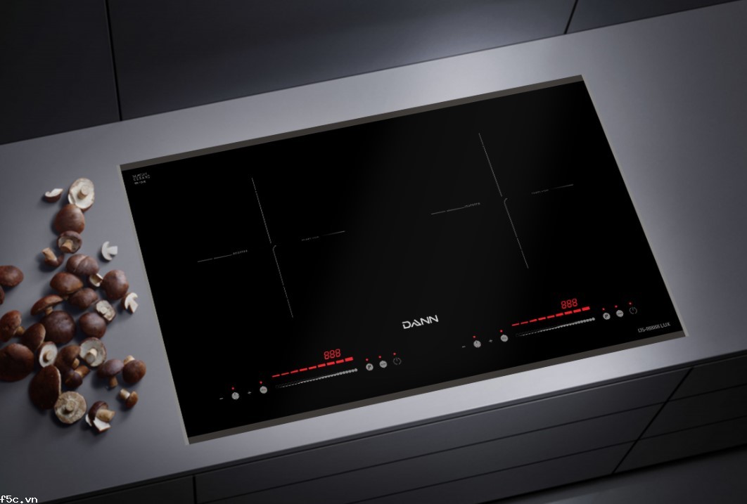 Bếp từ Dann DS-IB888 LUX (Chính hãng)