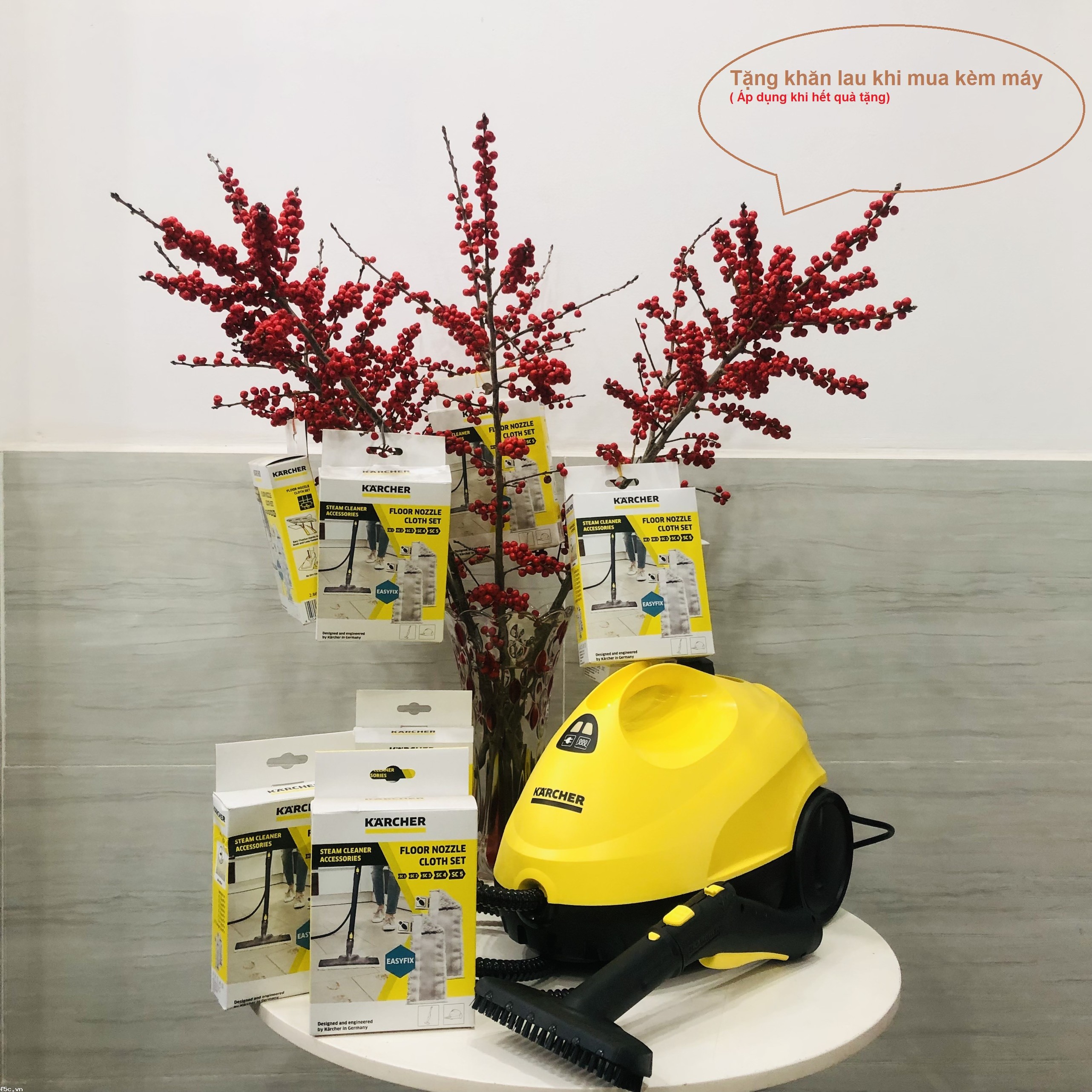 Máy làm sạch bằng hơi nước nóng Karcher SC 3 EasyFix (1.513-110.0)