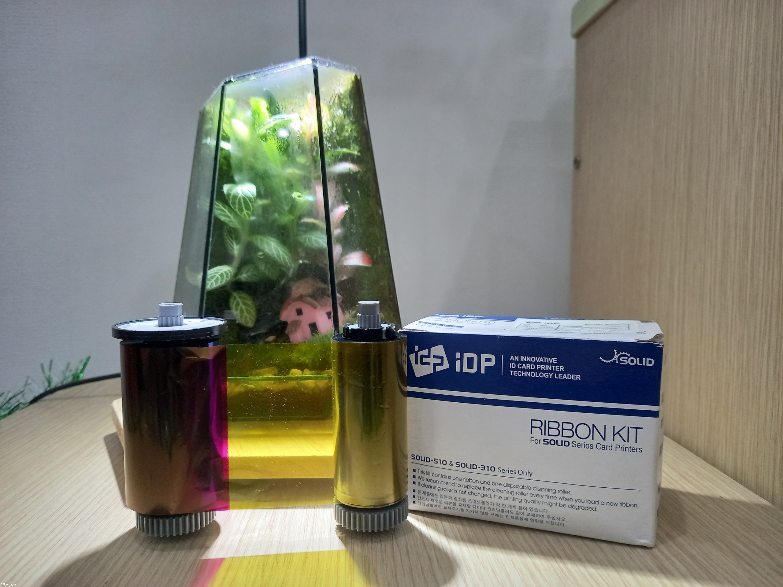 Ruy băng mực màu máy in thẻ nhựa SOLID 310S chính hãng