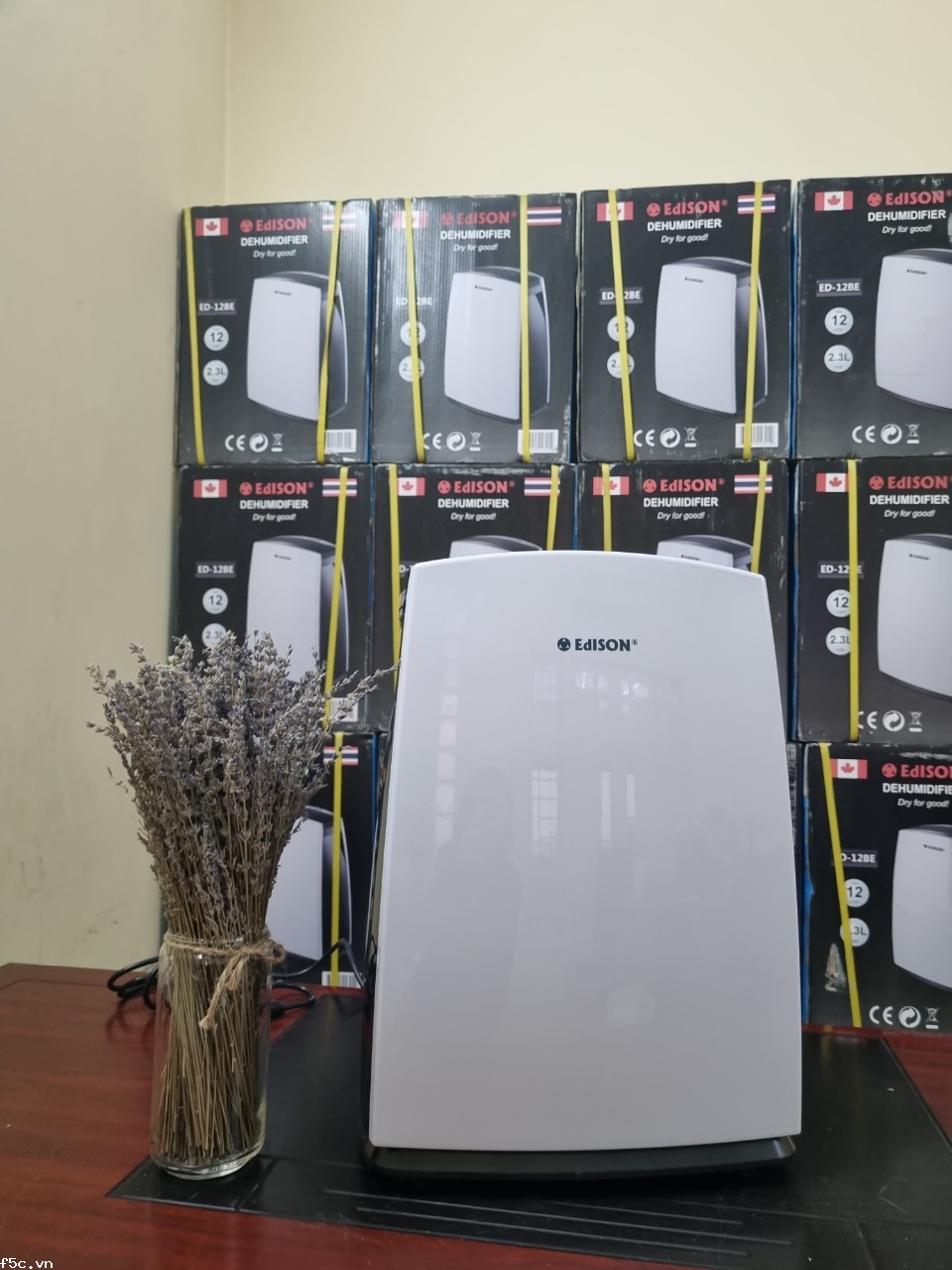 Máy hút ẩm Edison ED-12BE