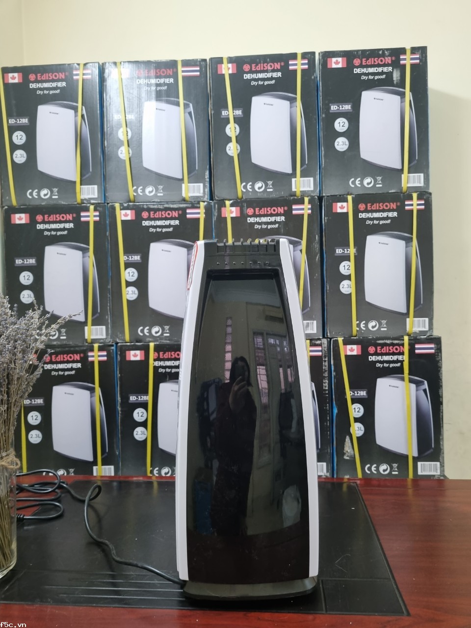 Máy hút ẩm Edison ED-12BE